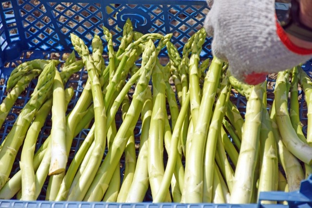   Фото: региональный Минсельхоз