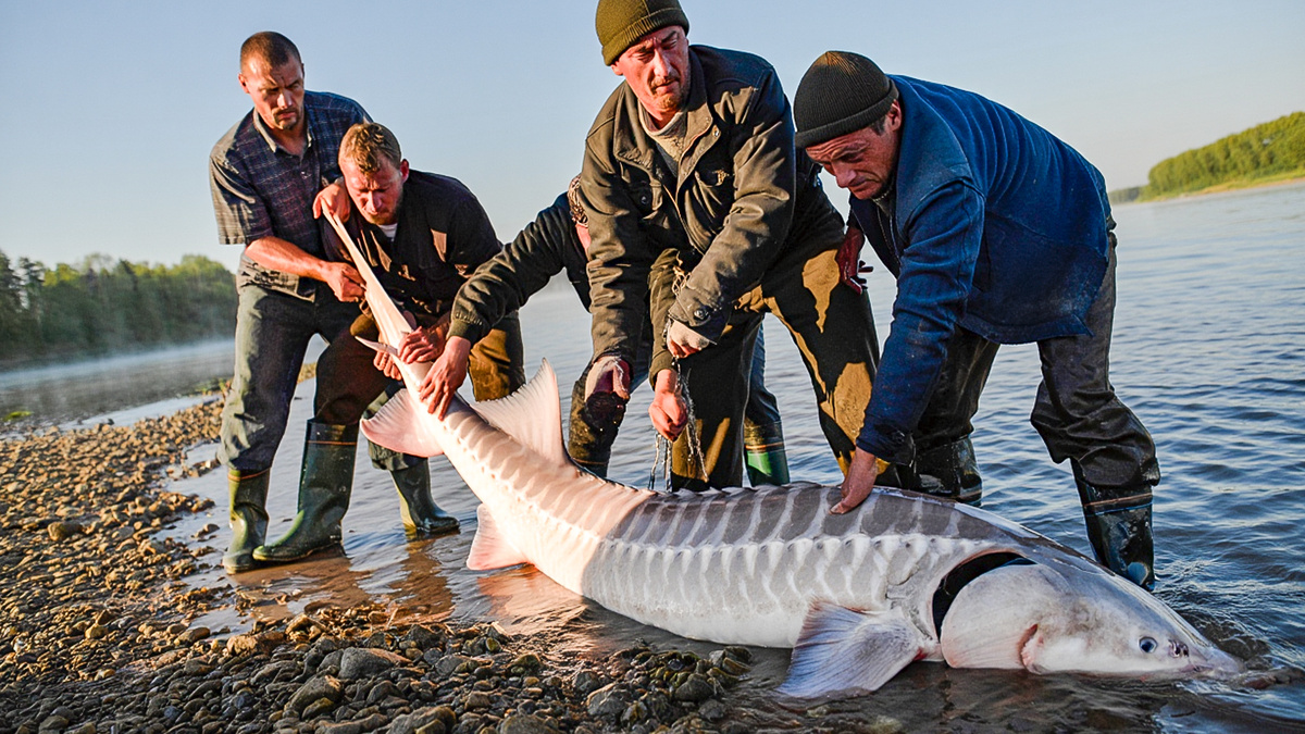 Изображение сгенерировано при помощи ИИ