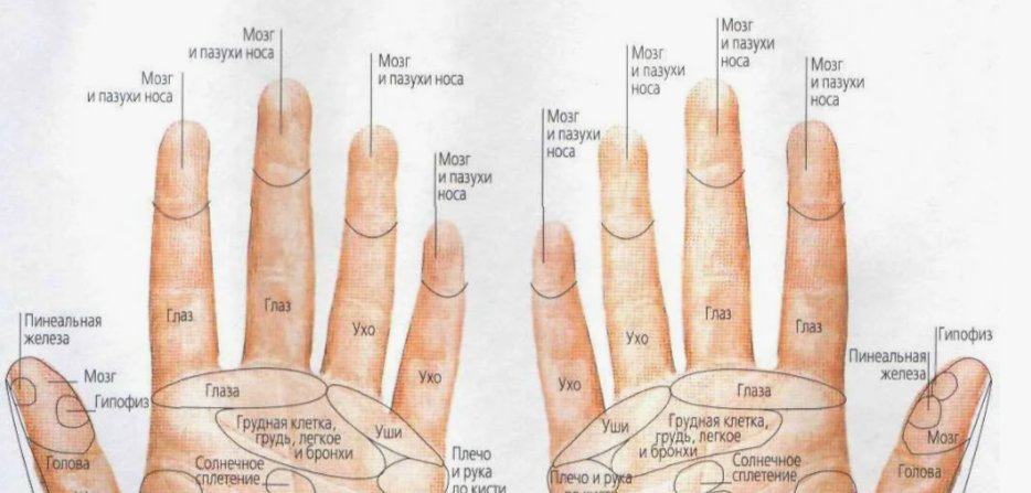Когда у тебя не лапки