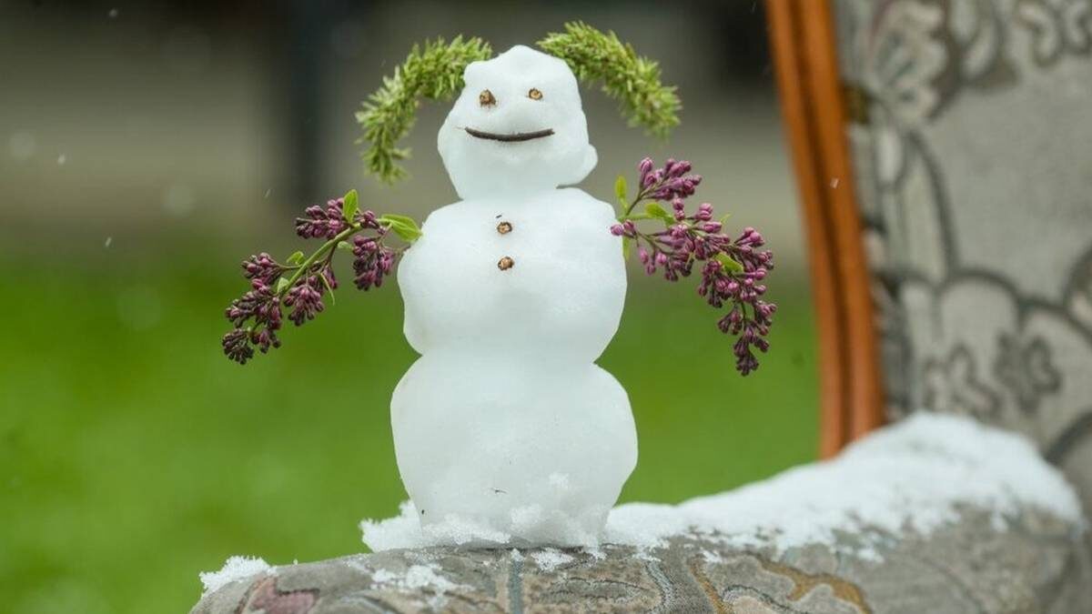    Фото: Василий Кузьмиченок / АГН Москва