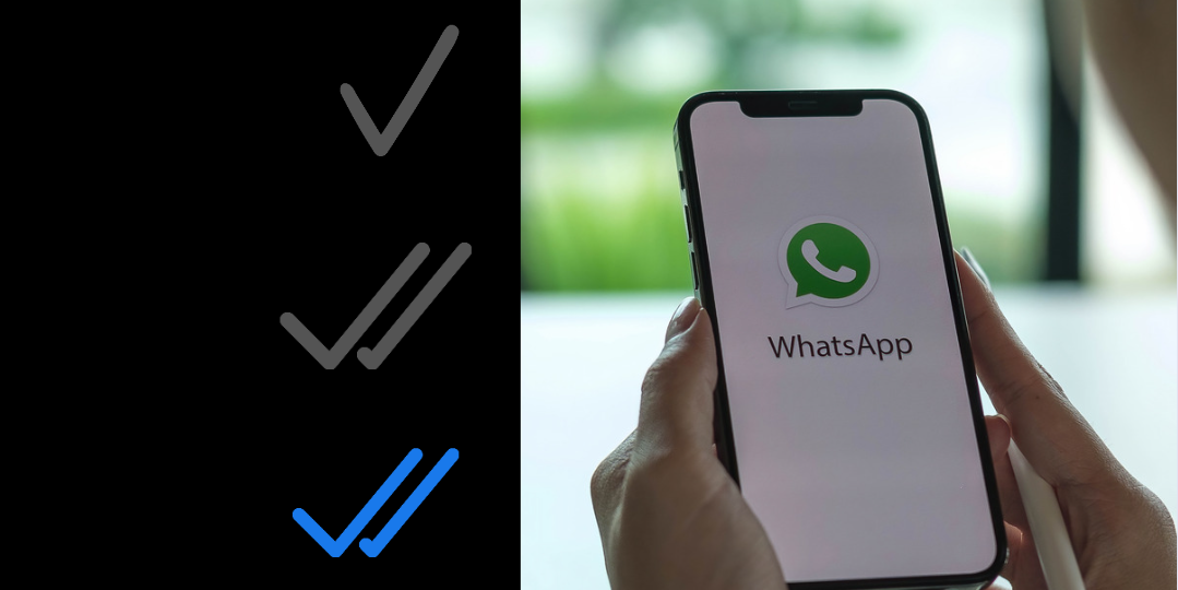 Что означают галочки в WhatsApp и зачем они вообще нужны