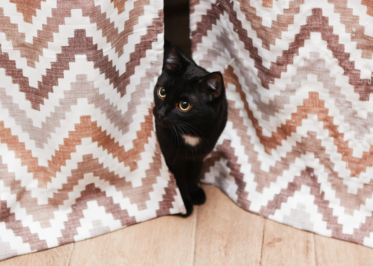 Безобразие какое!