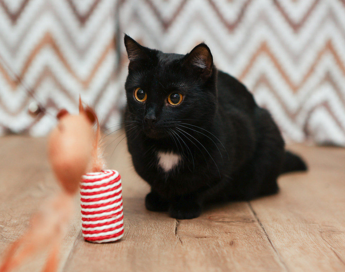 И вот что хочешь то и думай!