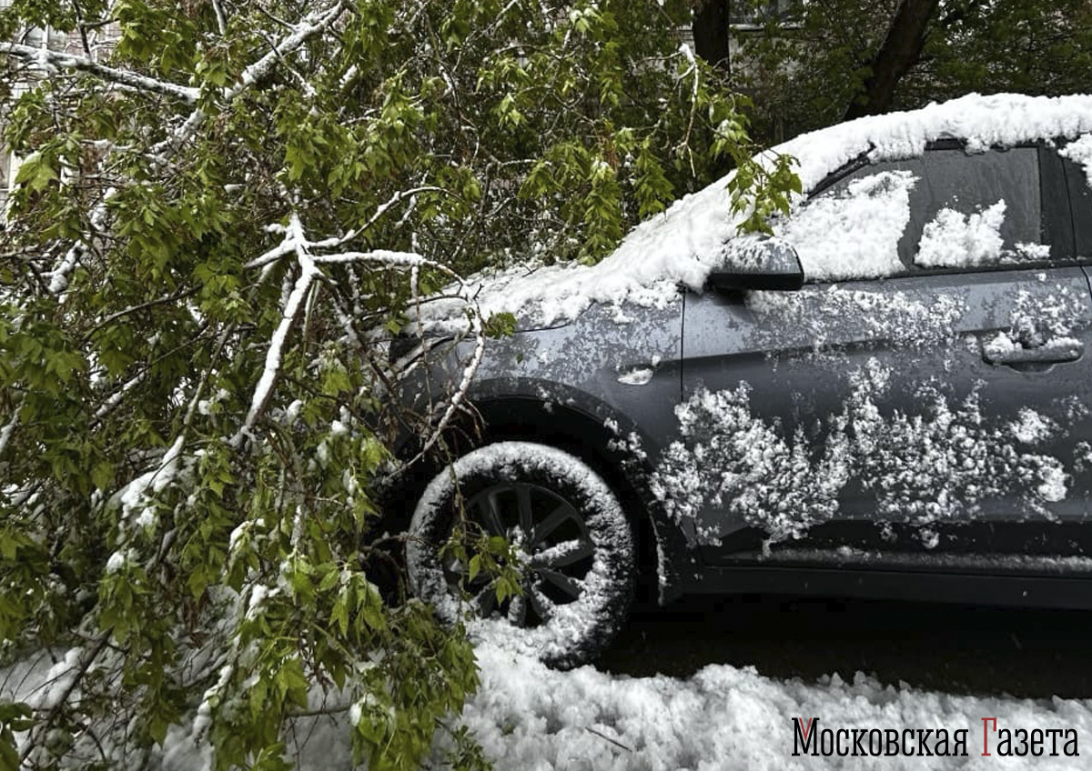 Фото © «Московская газета»