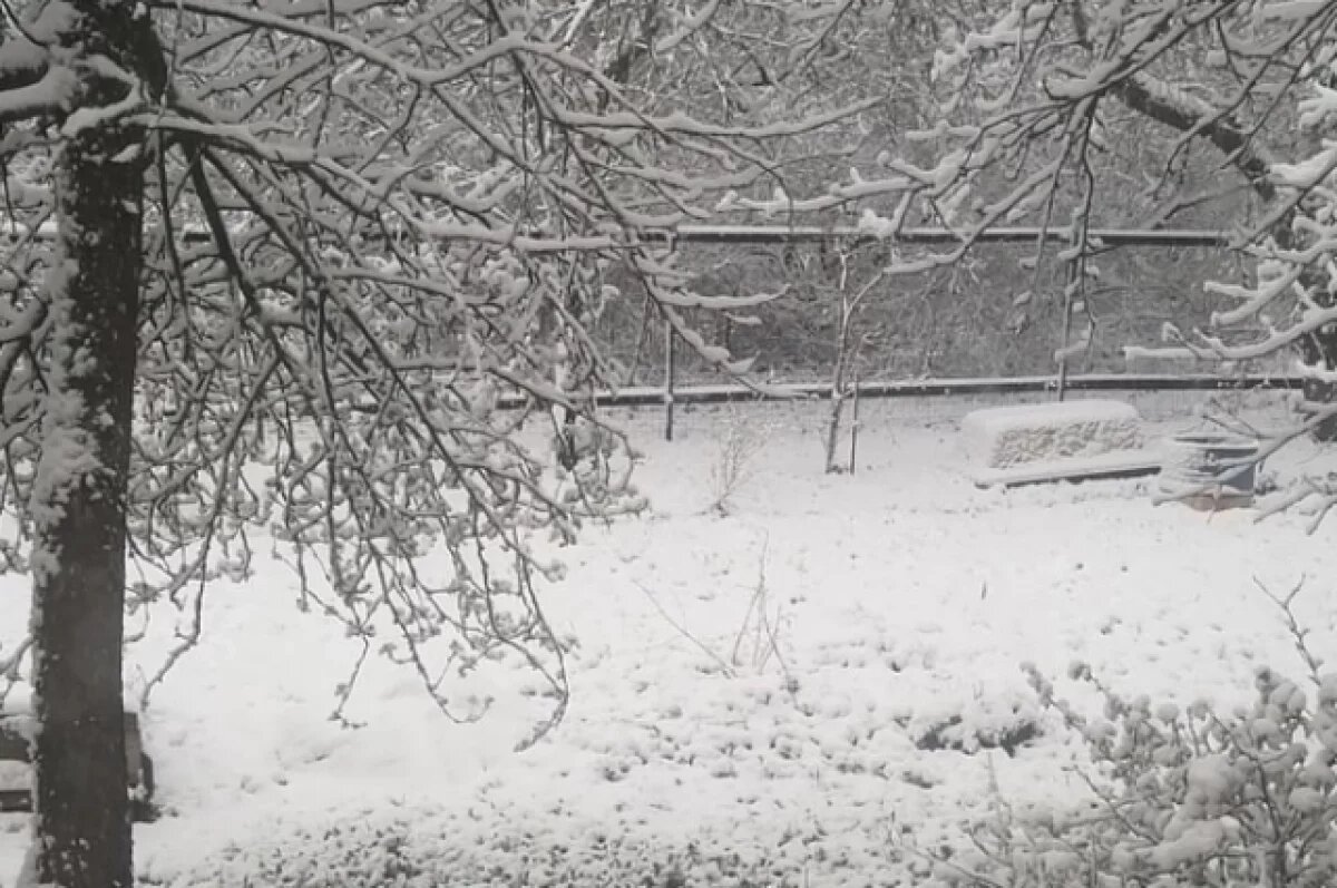    Майская зима.