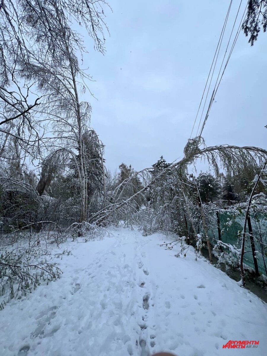    Рекордный снегопад 2 мая. Фото:  АиФ/ Валерий Рукобратский
