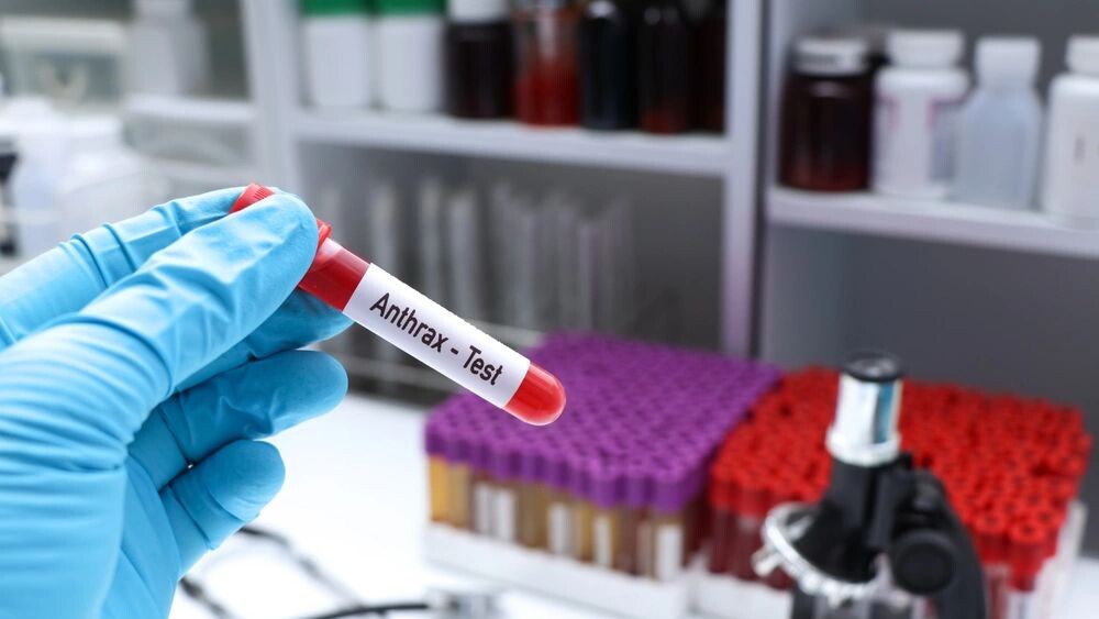    Фото: chemical industry/Shutterstock/Fotodom