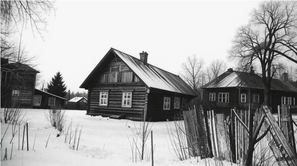 Нерпа, 1987 г.