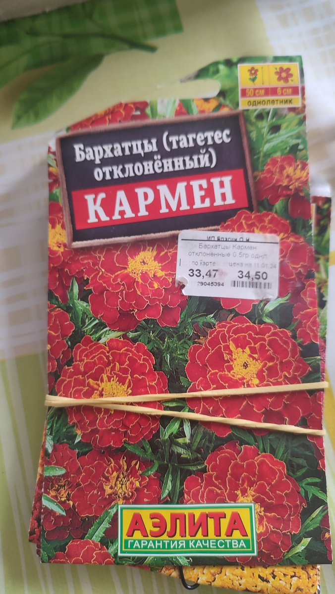 Важный цветок. Фото автора. 