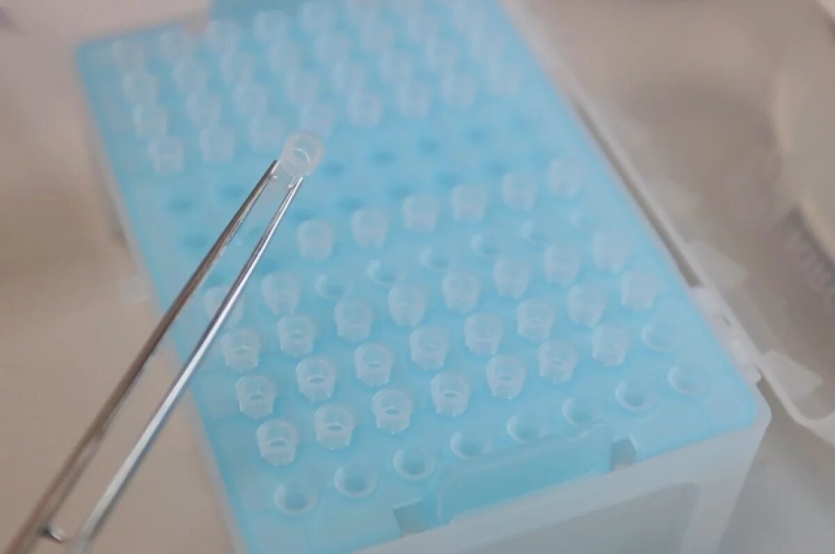    Фото носит иллюстративный характер