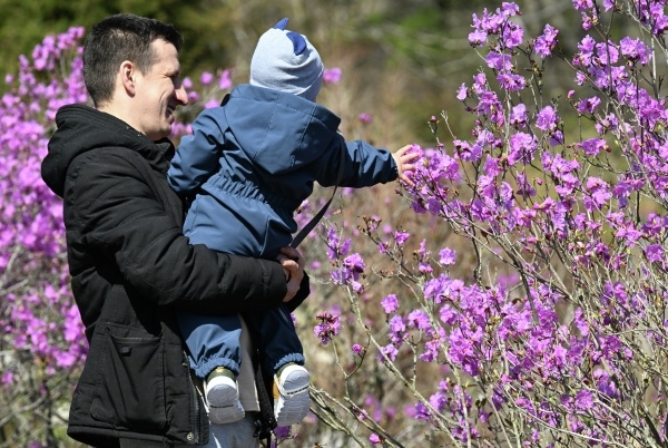 Фото: РИА Новости/Виталий Аньков