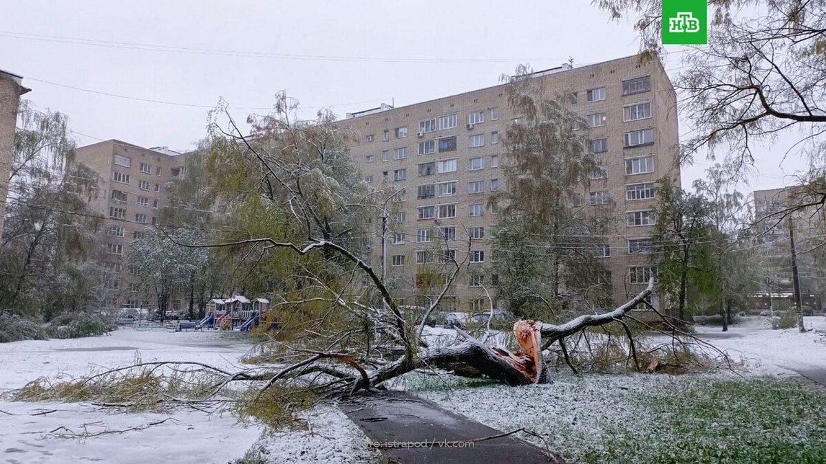    В Подмосковье более 26 тыс. человек остались без электричества    из-за    снега