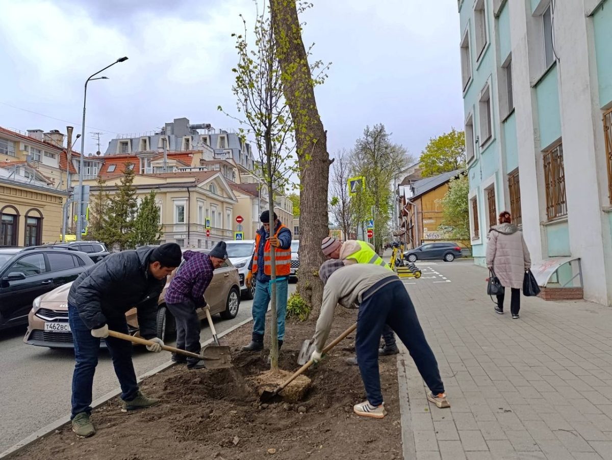     Сейчас показатель приживаемости всех посадок достигает 93%