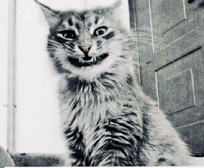 Фото из Pinterest.