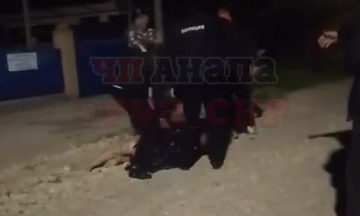    Фото t.me/pva_chp