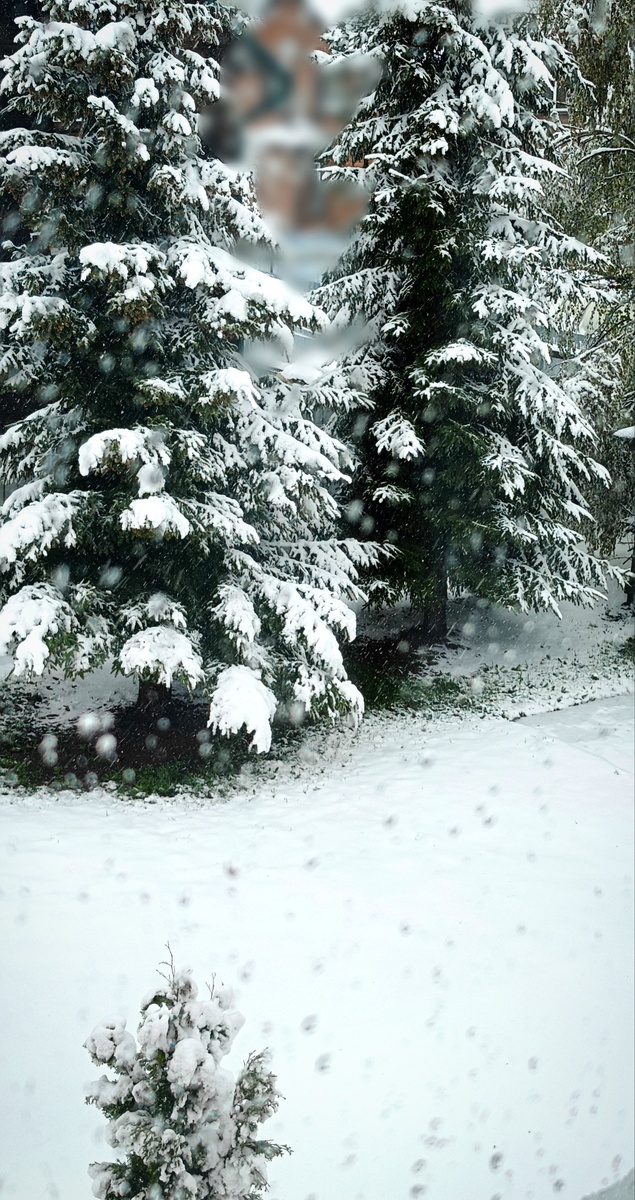 2 мая, Сергиев Посад. 