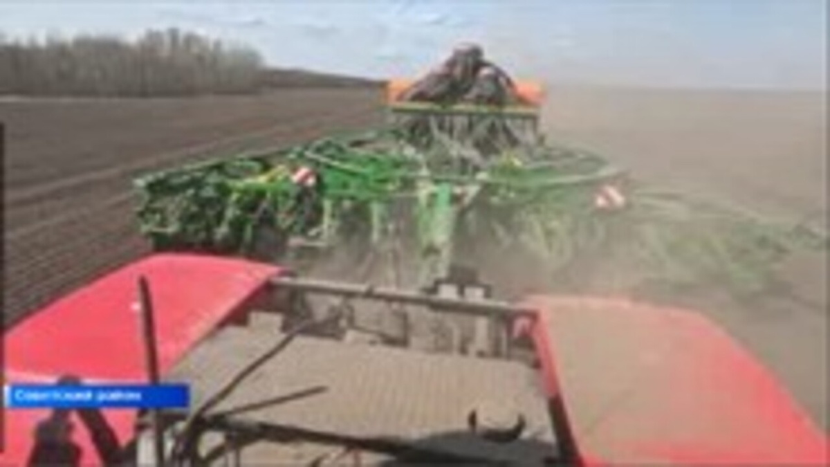    Аллея Победы под Тимом Курской области