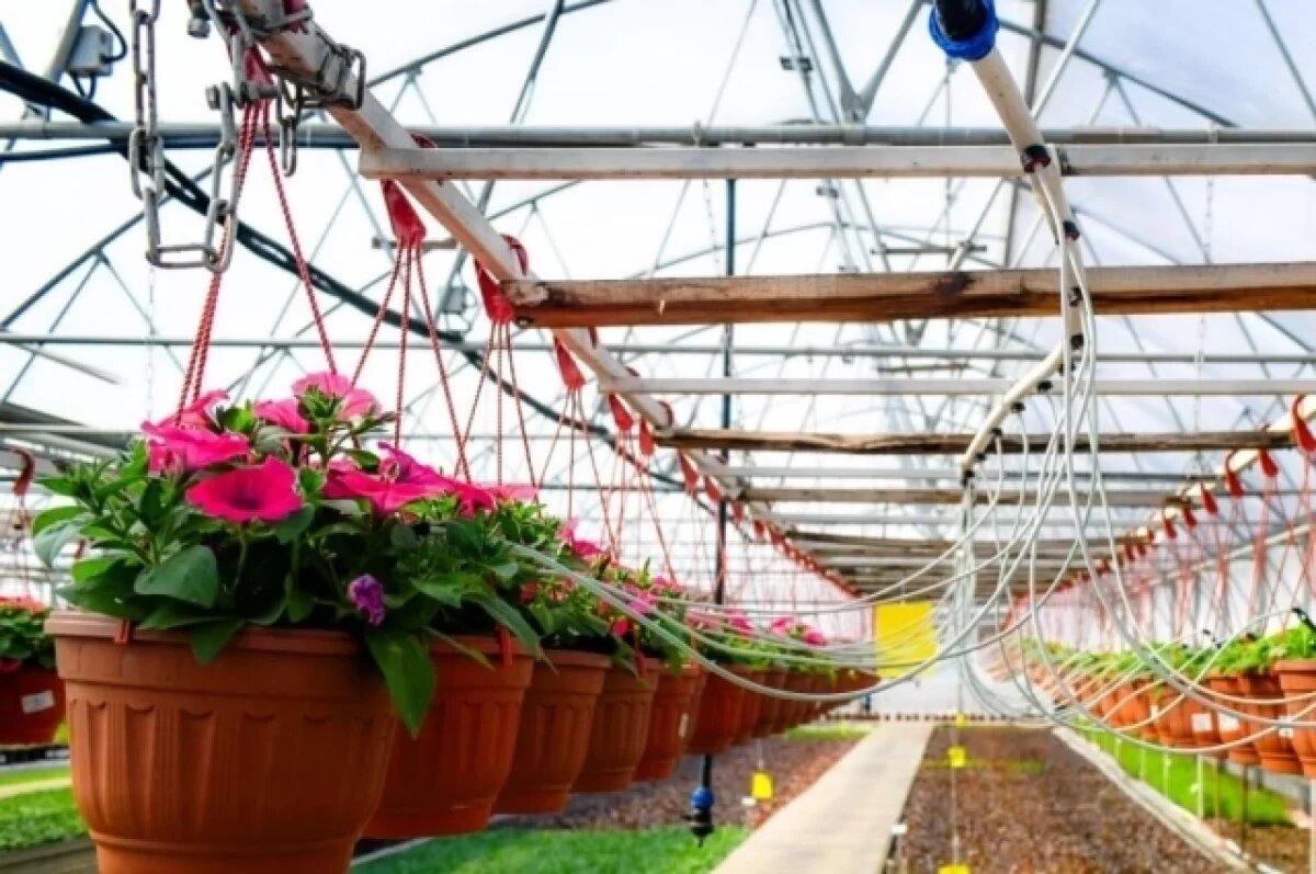    В Перми высадят более миллиона цветов