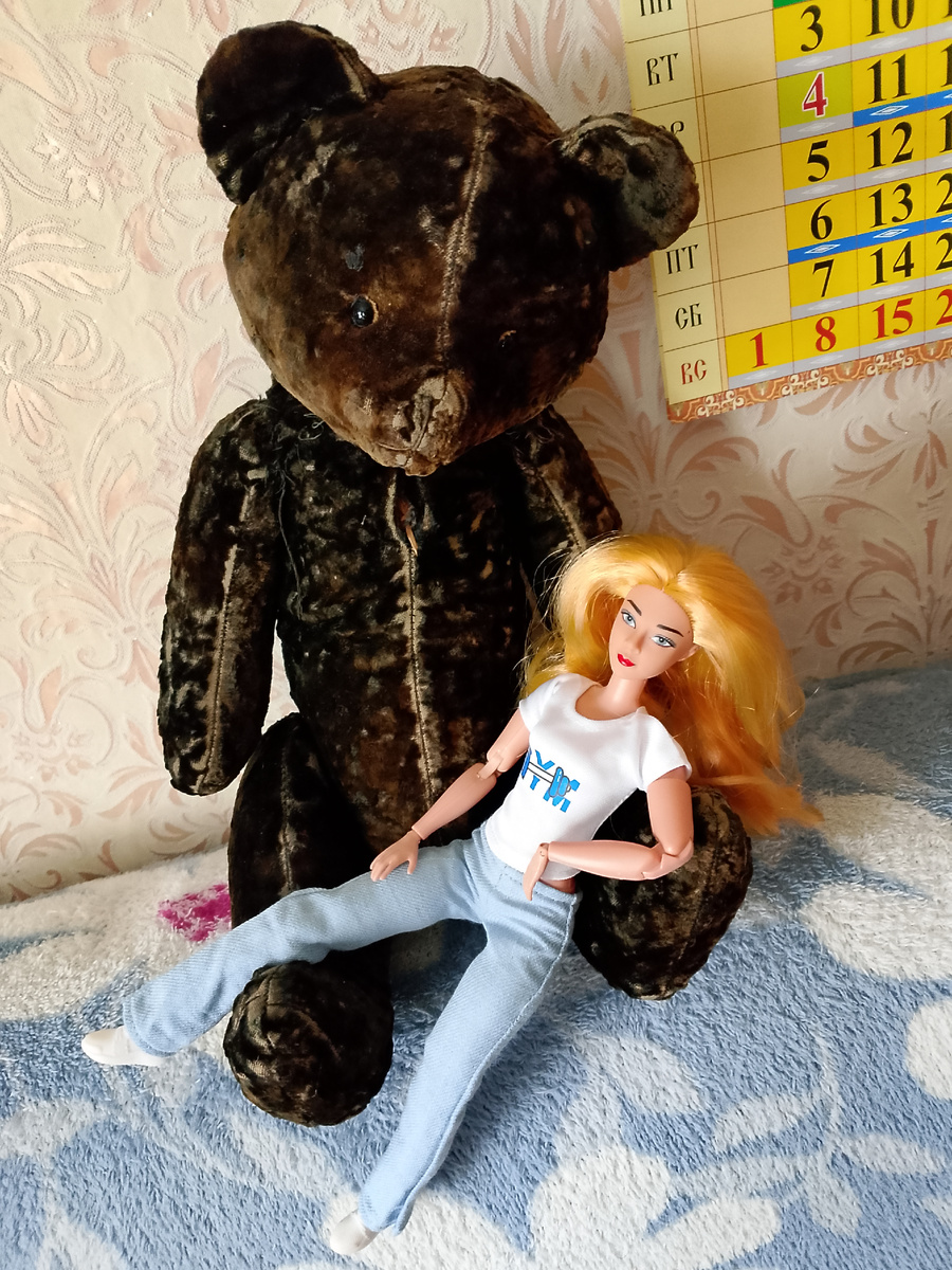 Ариша и древний медвежонок