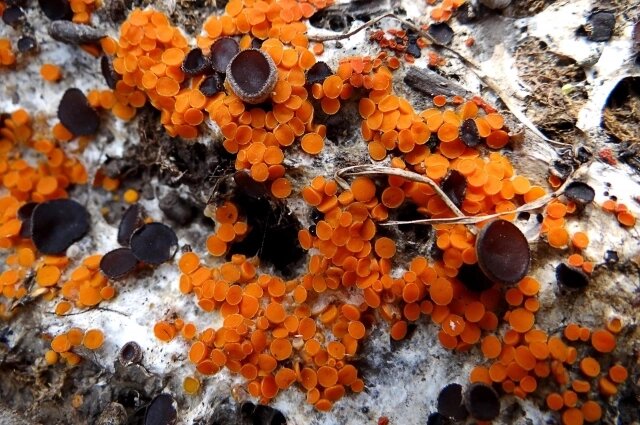    Фото: Из личного архивa/ Марина Привалова