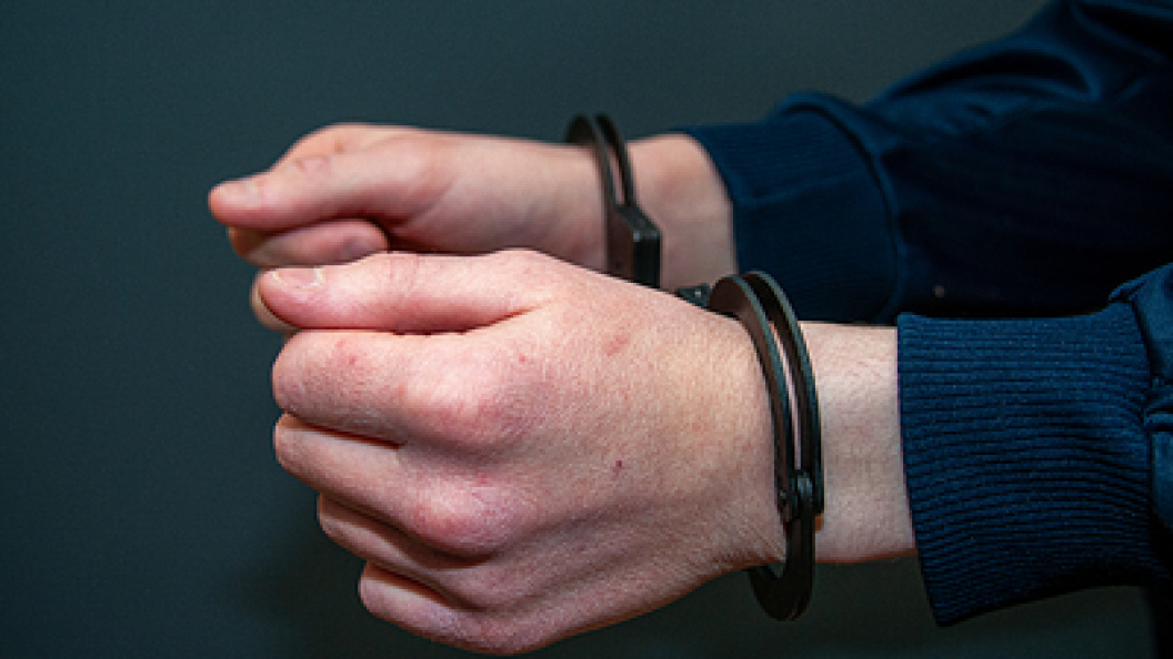    Фото: Svetlana Vozmilova/Globallookpress