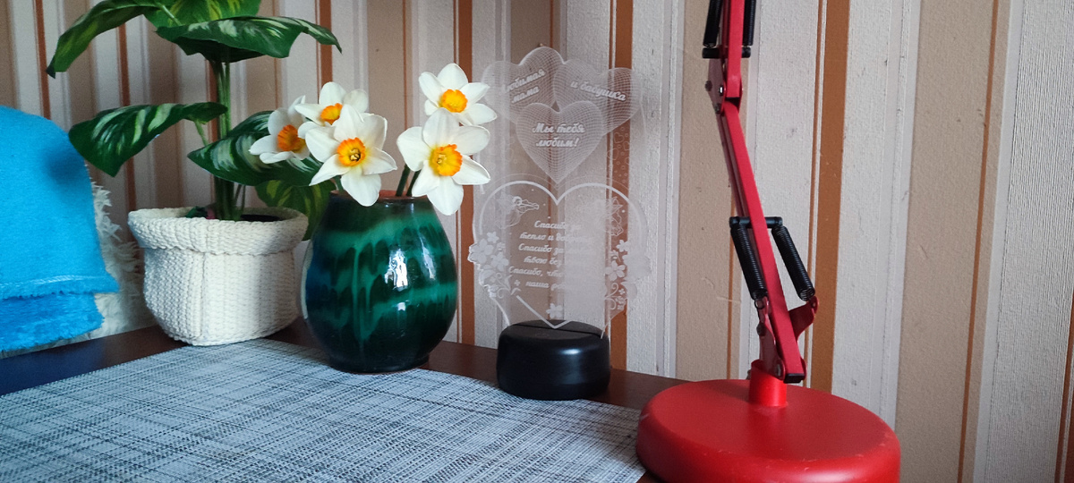 Сейчас пока цветут только нарциссы, но скоро распустятся тюльпаны