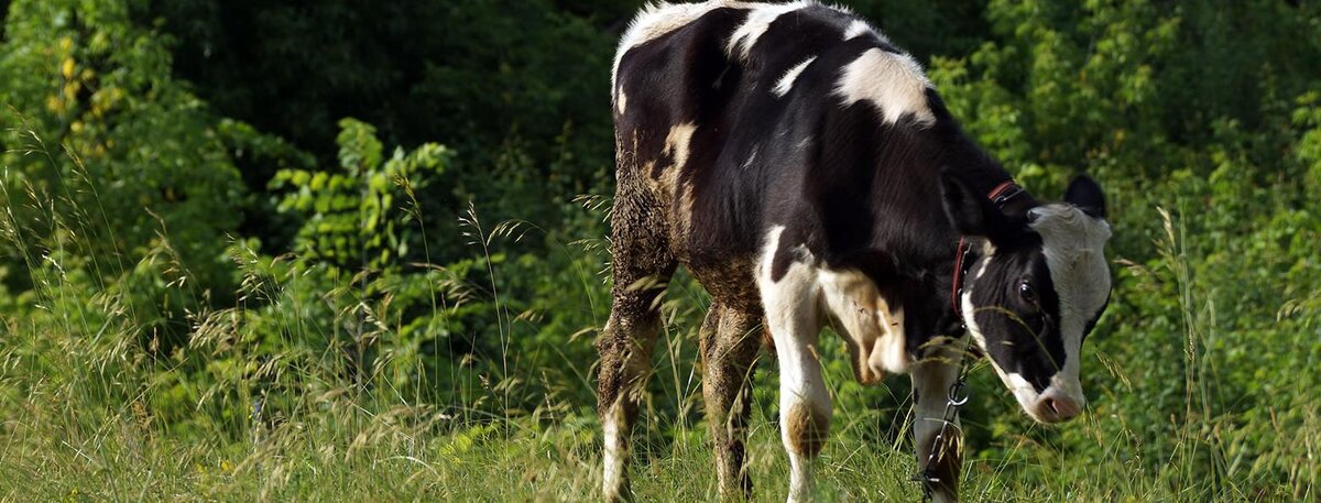    Фото: Сергей Егоров