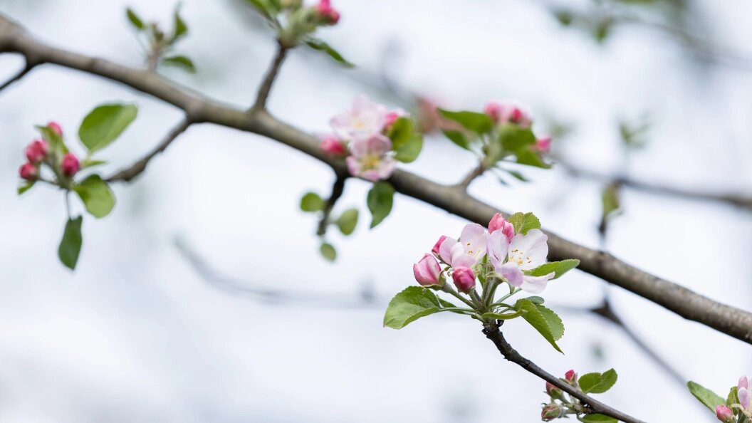    Фото: Aleksey Smyshlyaev/Globallookpress