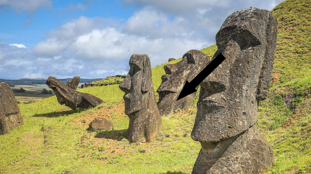    Тайна 10-метровых гигантов Как аборигены острова Пасхи двигали моаи без кранов и машин