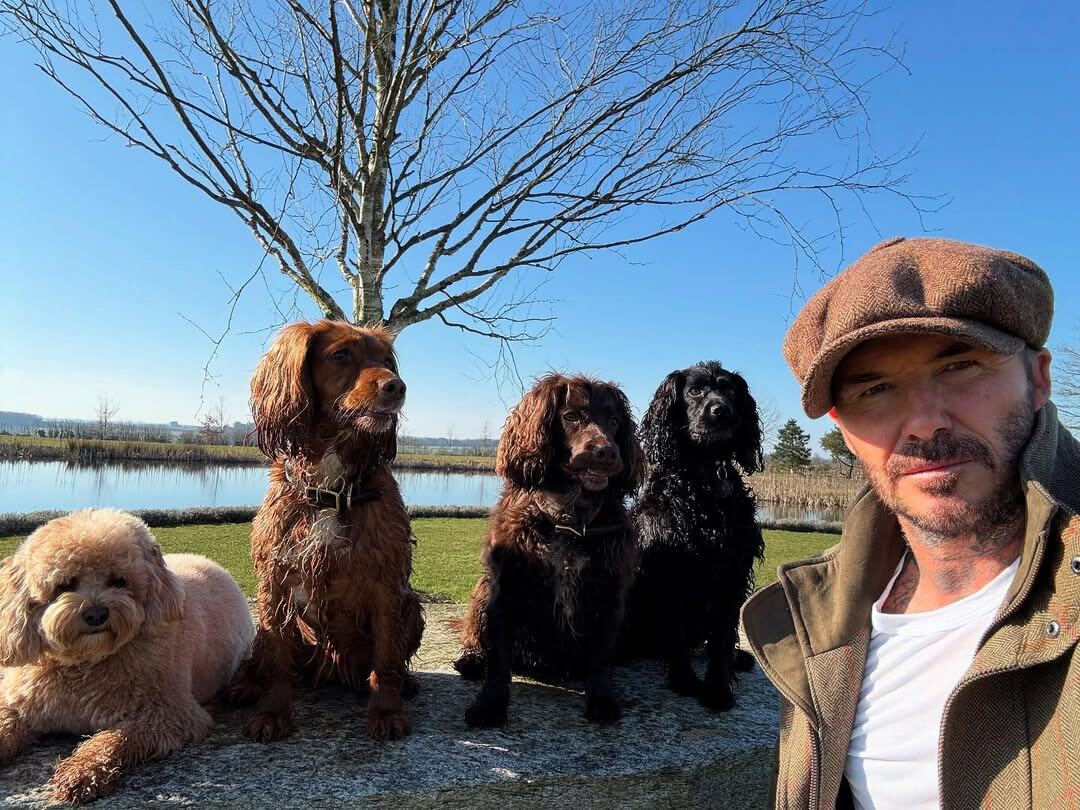  @davidbeckham / Соцсети