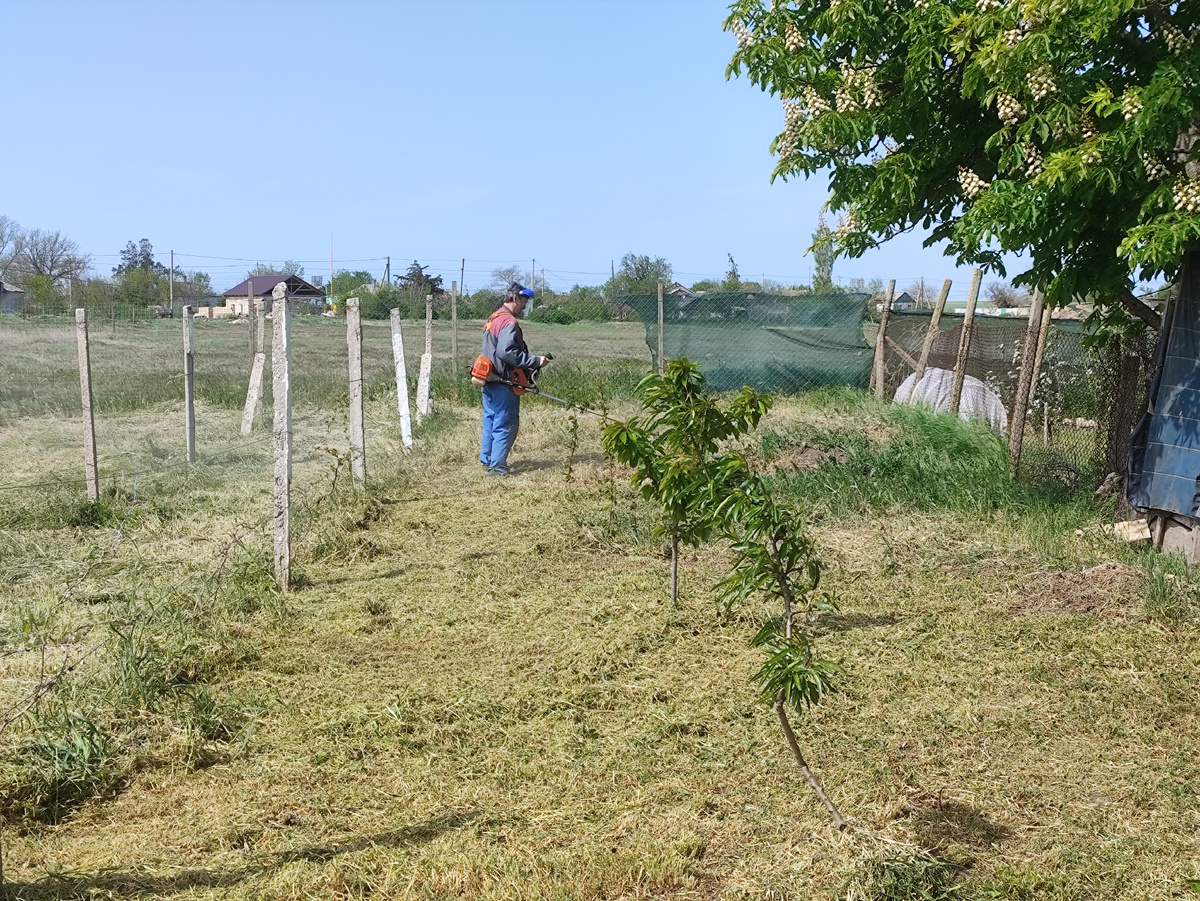 Причесывает