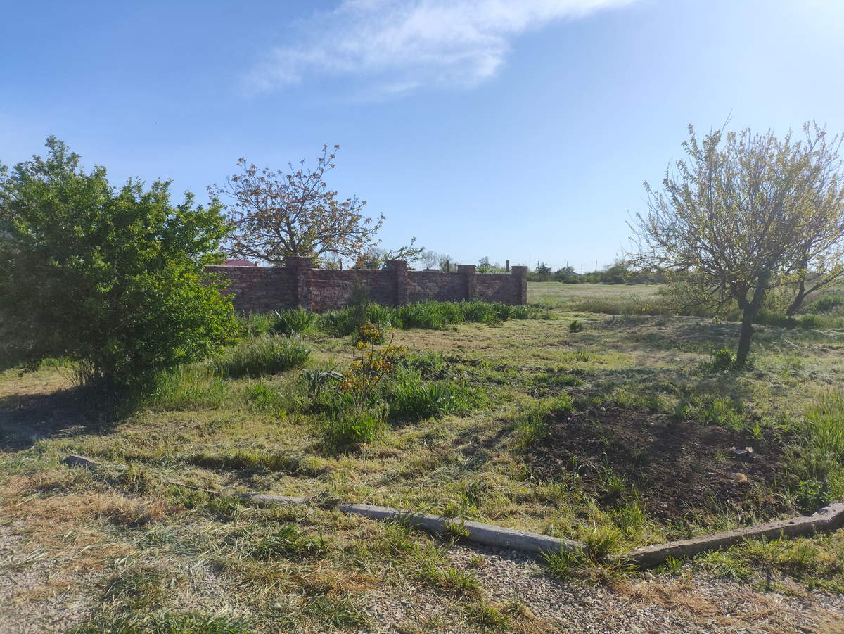 Тут тоже мне работы не мало, вдоль забора и в ирисах прибраться...