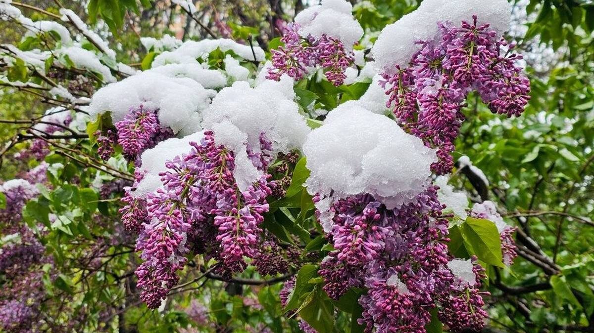    Фото: Василий Кузьмиченок / АГН Москва