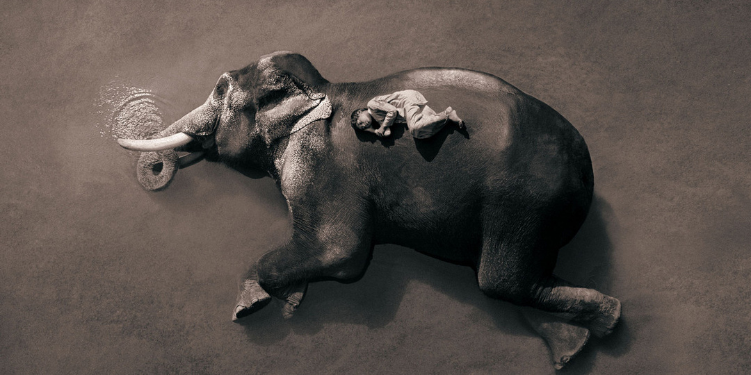 25 фото — доказательств того, что природа и человек — одно целое