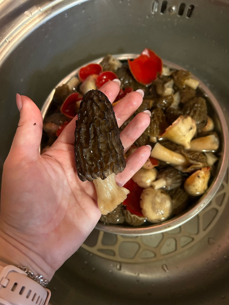    Грибники по соседству с Карелией похвастались первыми находками 47channel / паблик "Грибы и грибники СПб"