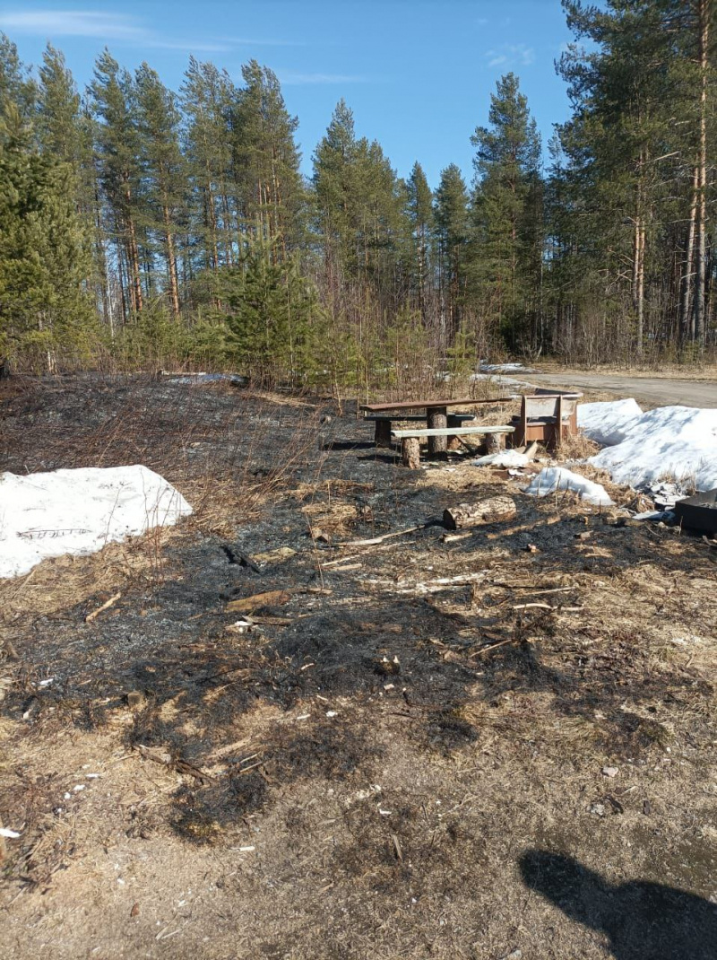    Лесной пожар возник в Карелии из-за пала травыГоскомитет Карелии по безопасности