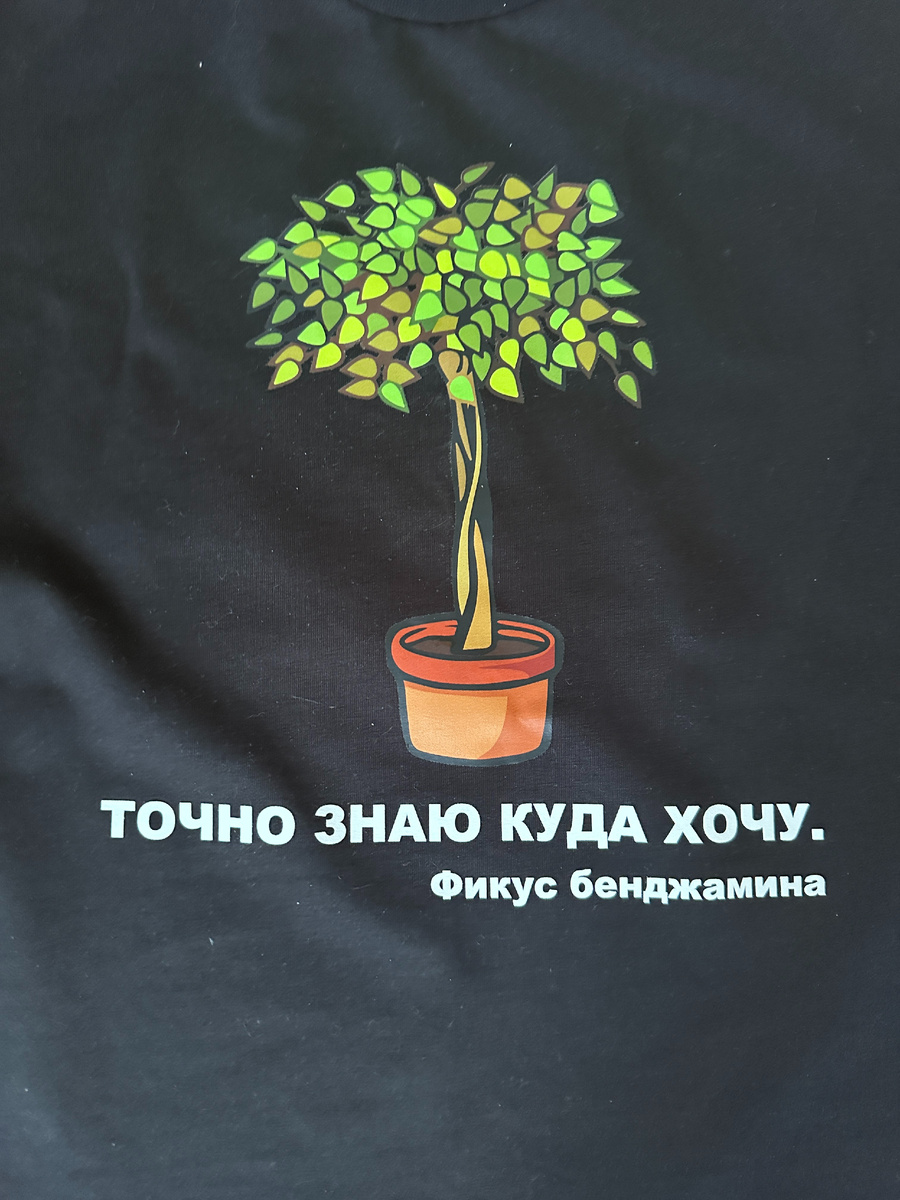 Эта фраза очень четко характеризует фикусы Бенджамина. 