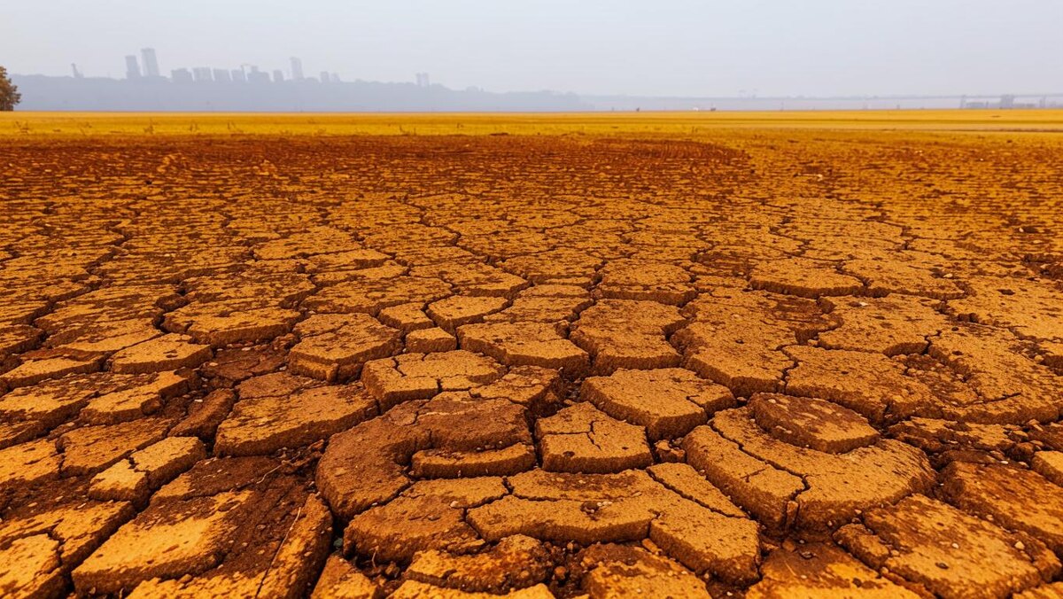 "Мертвая земля"