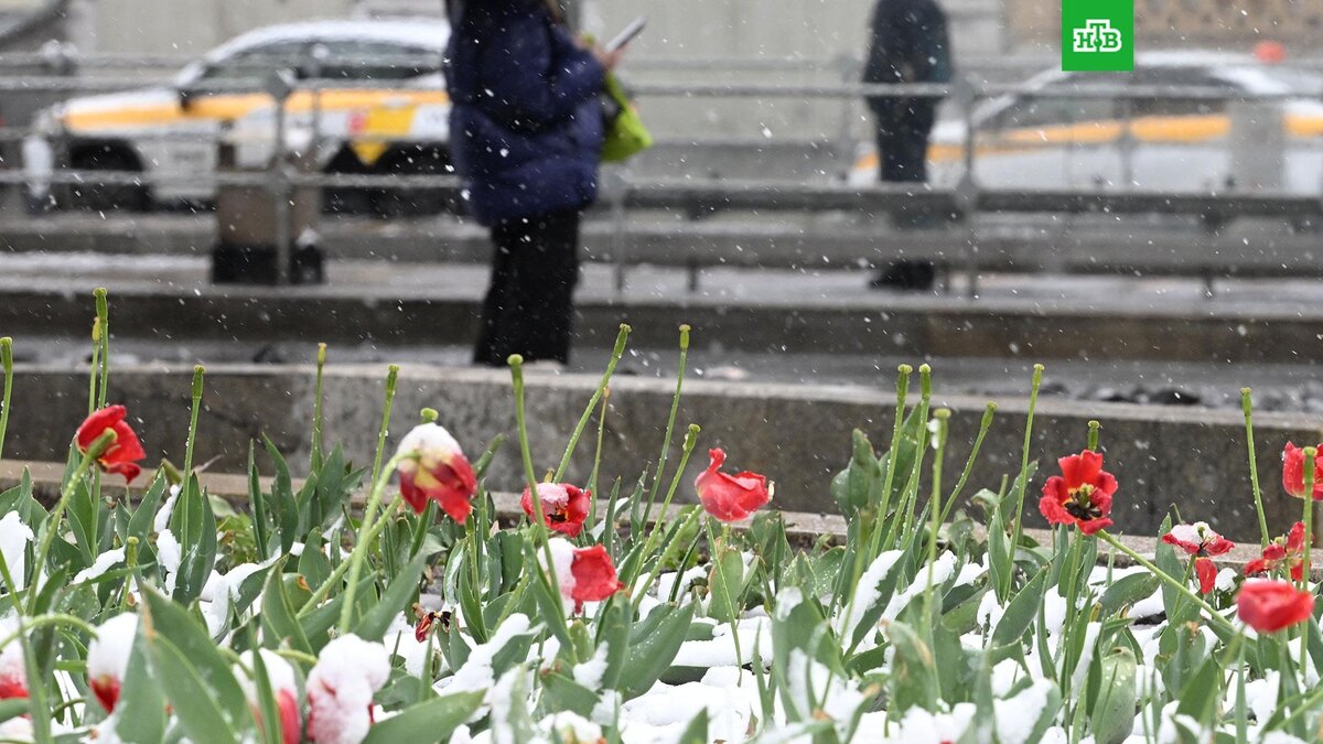    Фото: РИА Новости © 2025, Михаил Воскресенский