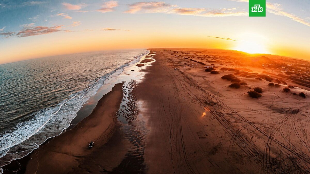    Фото: Rafael Hoyos Weht / unsplash.com