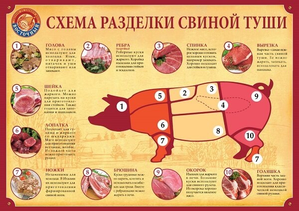 Схема разделки туши. Фото из Интернета.