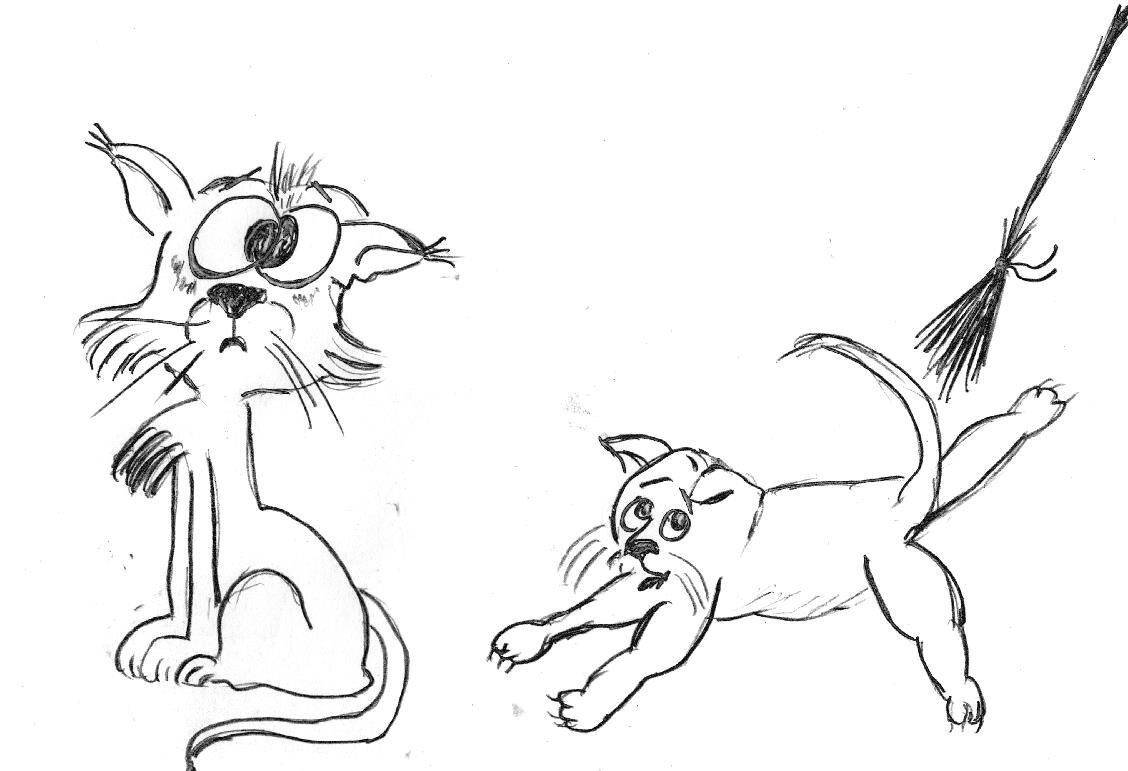 суровый закон