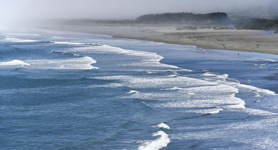    Harald von Radebrecht/imageBROKER.com / www.globallookpress.com