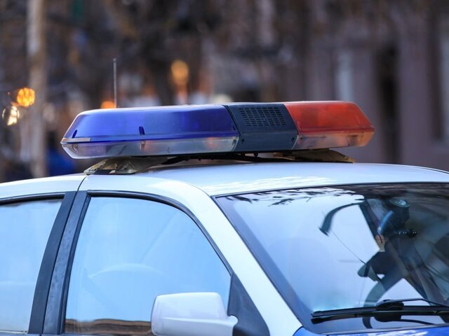    Фото: 123RF/danielt1994