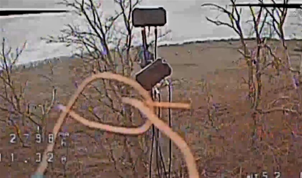     / Источник: Кадр из видео