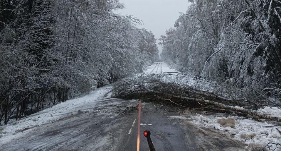    Минтранс Подмосковья