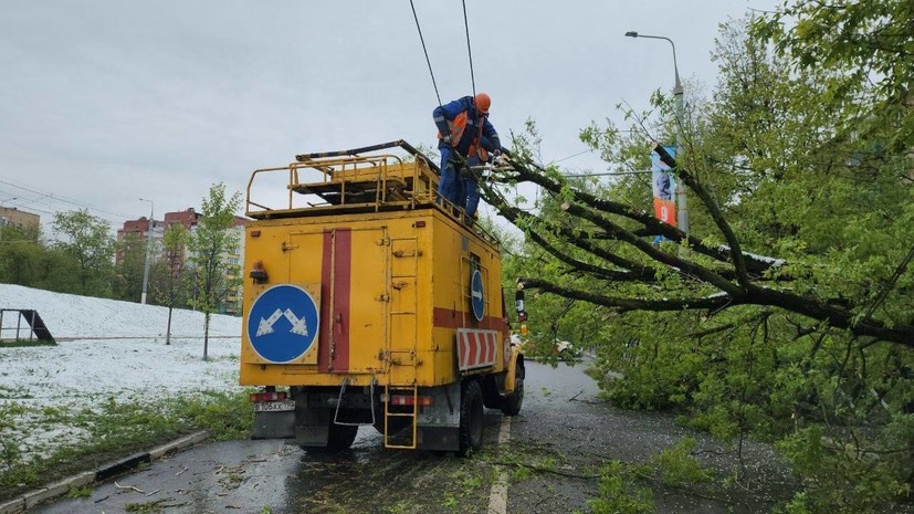    Воробьёв LIVE