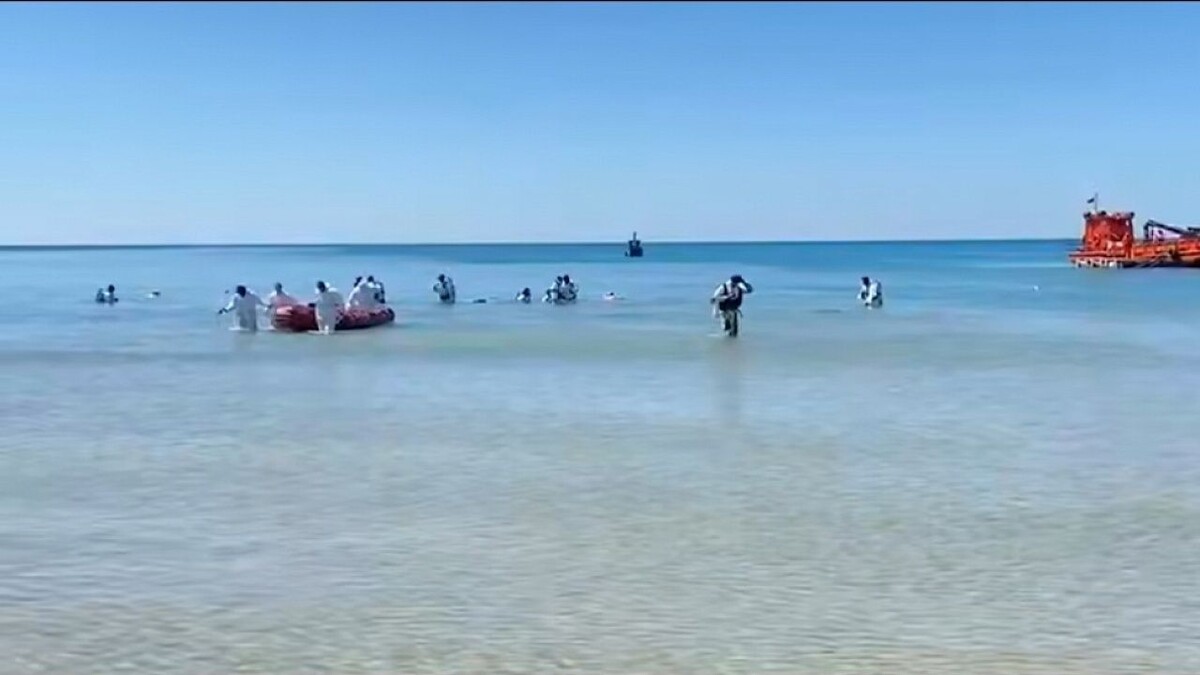    Фото: Оперштаб Кубани.