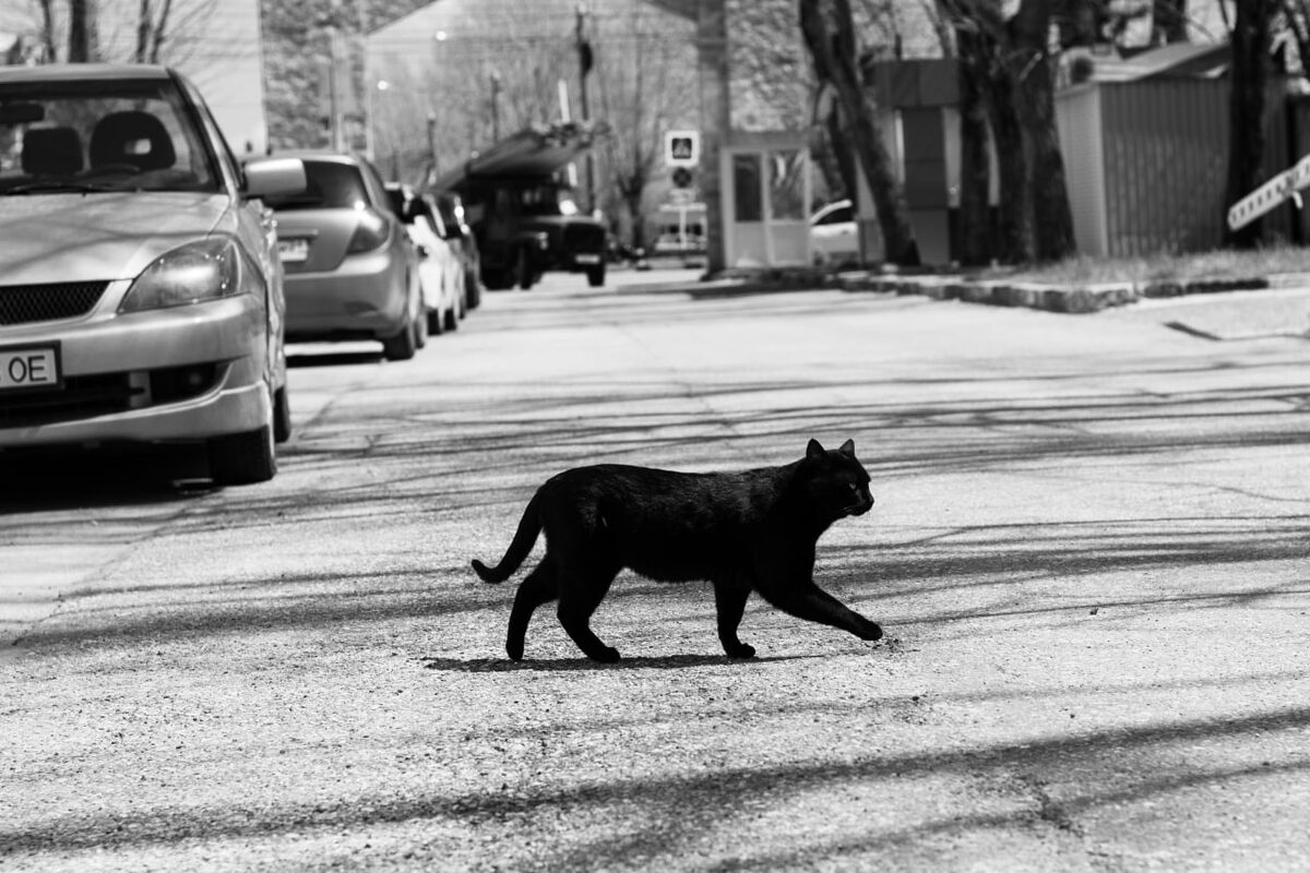 фото автора канала