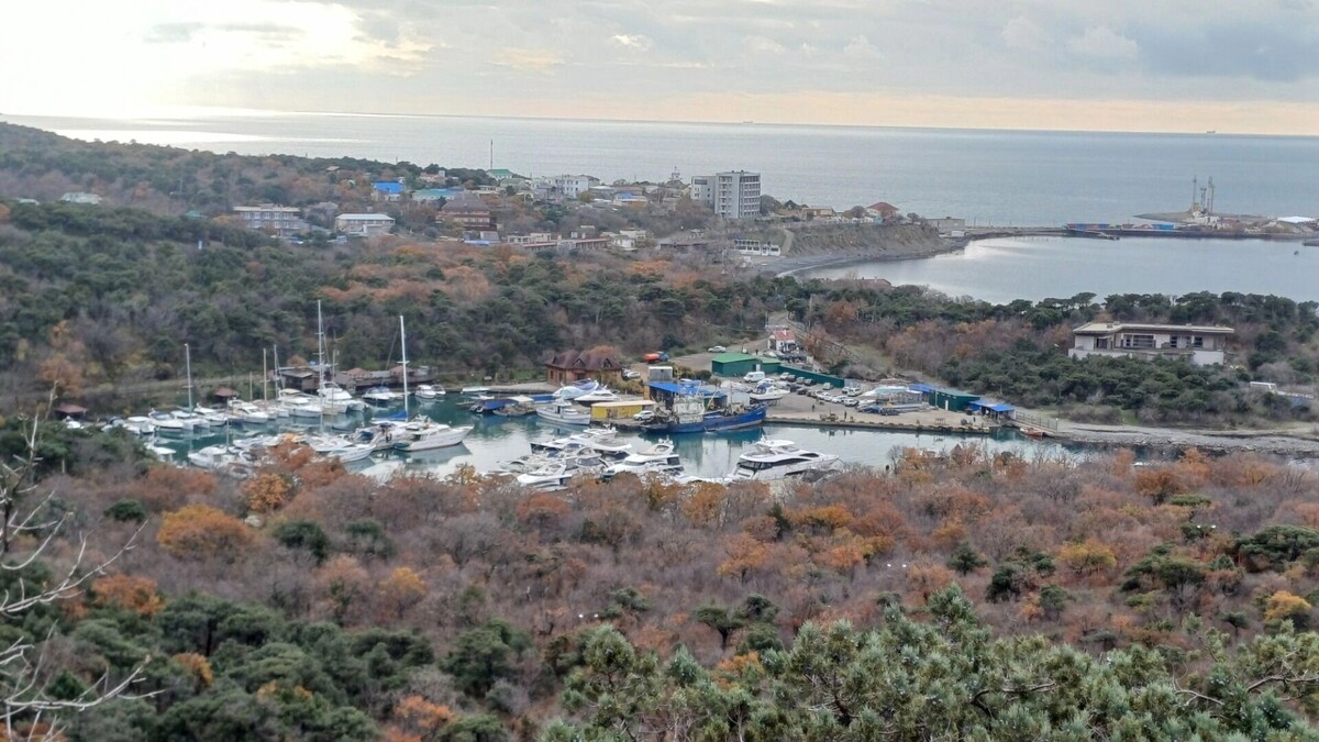     Автор: KubanPress